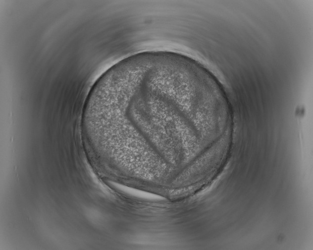 X0000089911513200707271704