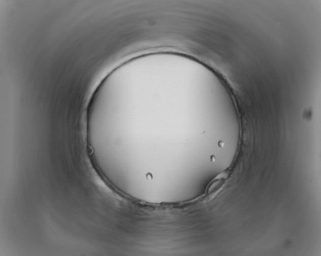 X0000089911516200707271704