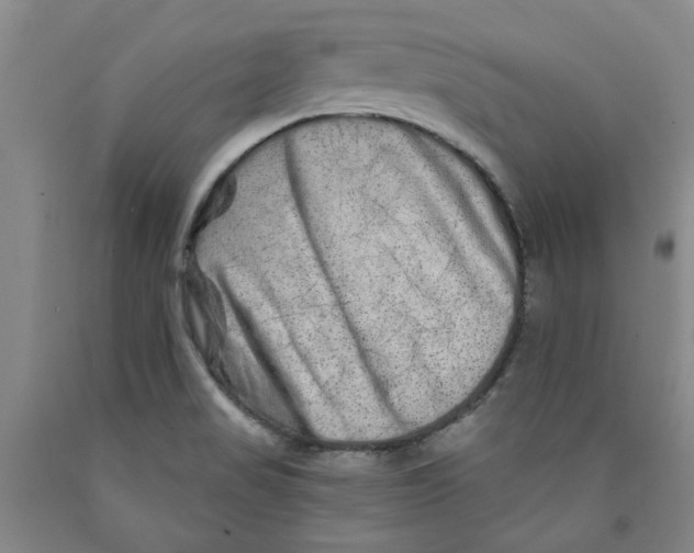 X0000089911517200707271704