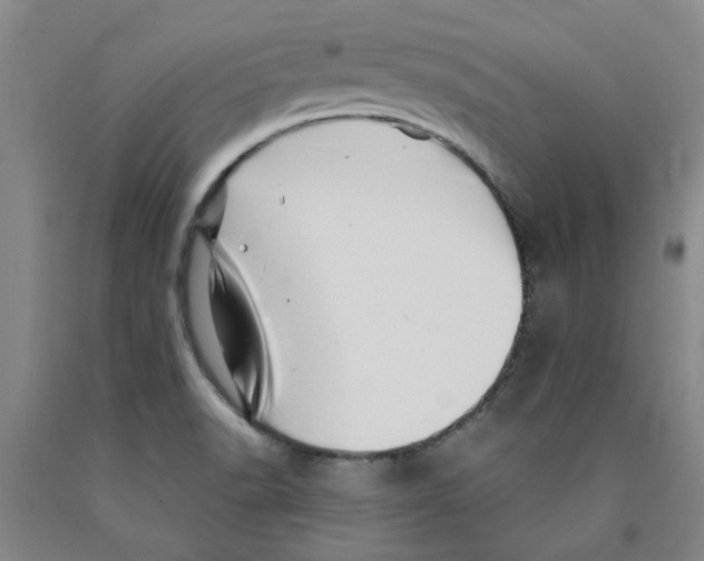 X0000089911518200707271704