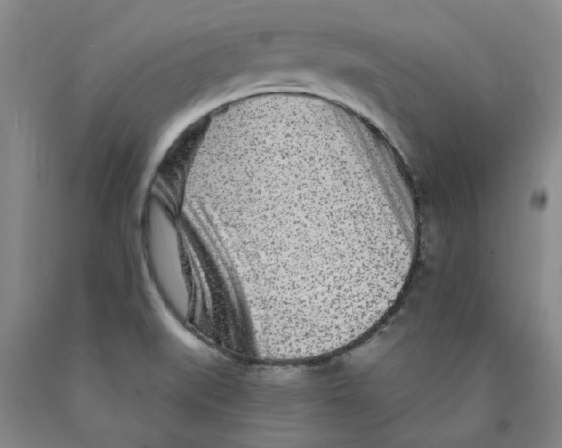 X0000089911519200707271704