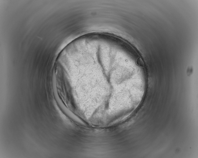 X0000089911521200707271704