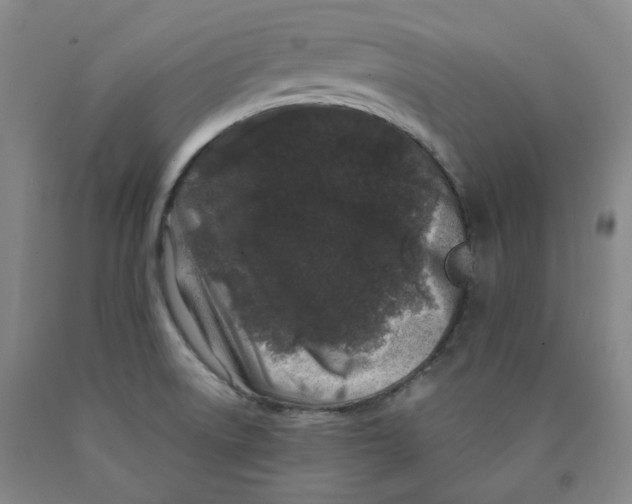 X0000089911522200707271704