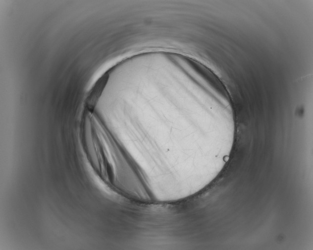 X0000089911523200707271704