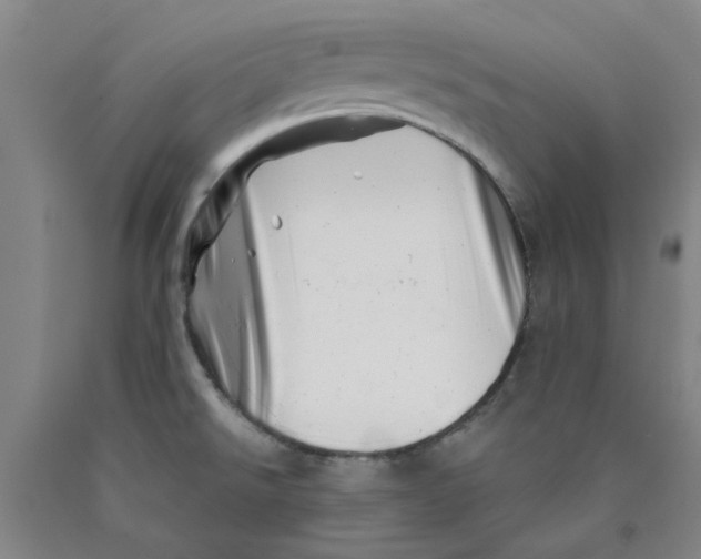 X0000089911526200707271704