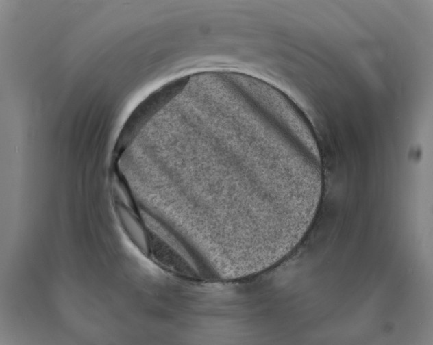 X0000089911527200707271704