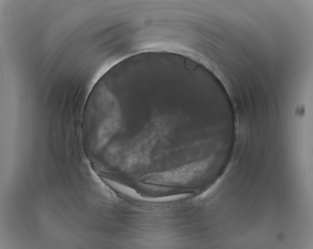 X0000089911529200707271704