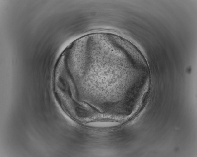 X0000089911533200707271704