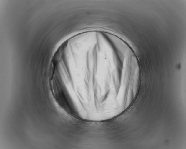 X0000089911534200707271704