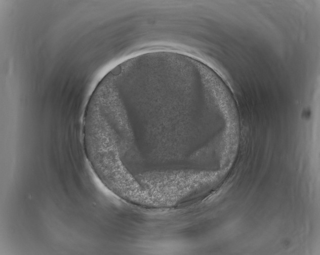 X0000089911535200707271704