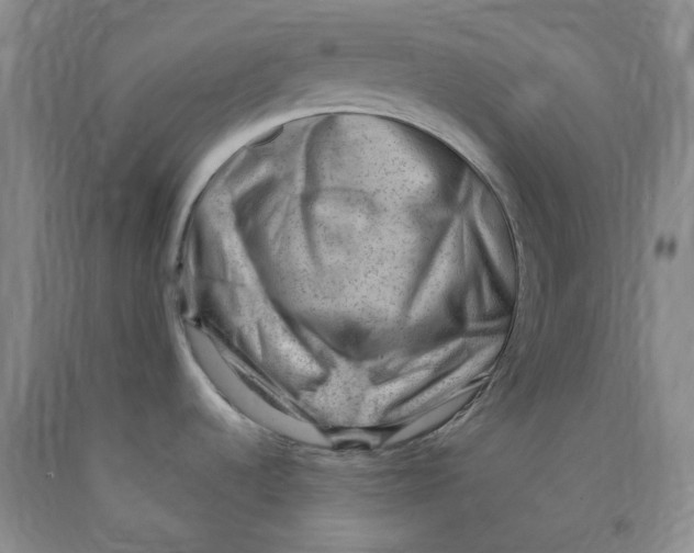 X0000089911536200707271704