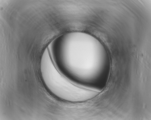 X0000089920017200706290805