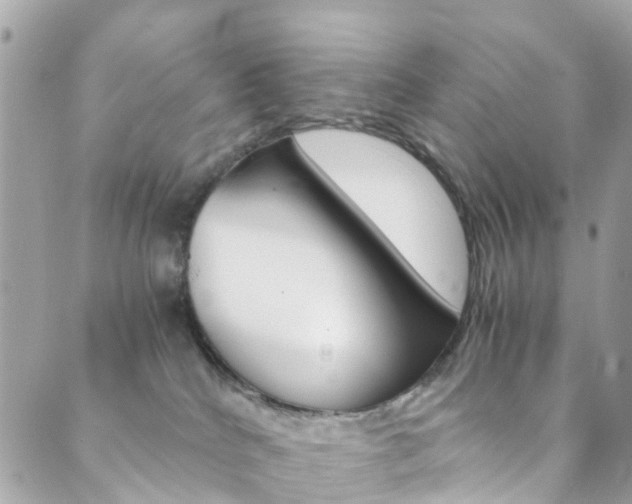 X0000089920040200706290805