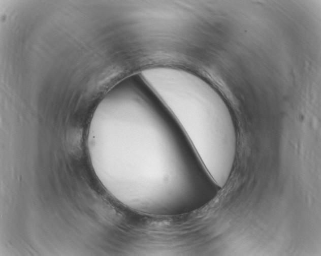 X0000089920066200706290804