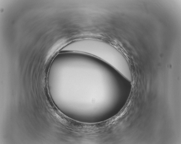 X0000089920101200706290804
