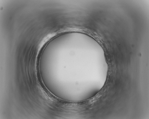 X0000089920104200706290804