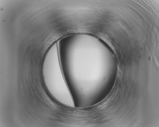 X0000089920109200706290804