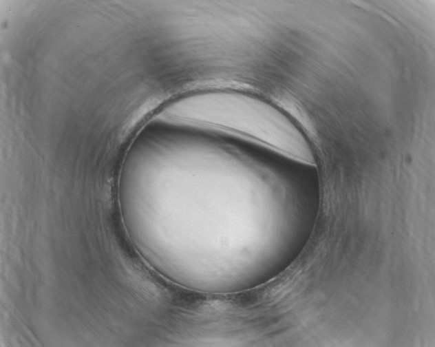 X0000089920111200706290804