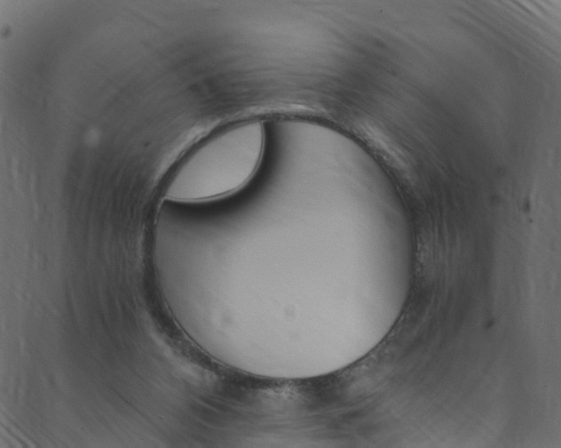 X0000089920112200706290804