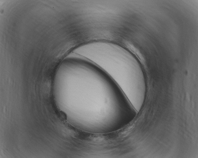 X0000089920113200706290804