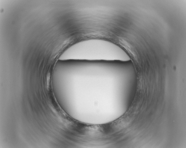 X0000089920118200706290804