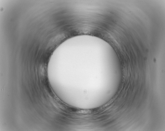 X0000089920126200706290804