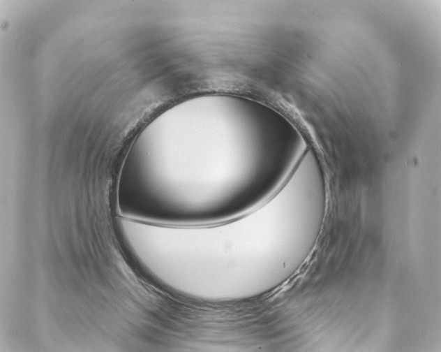 X0000089920154200706290803