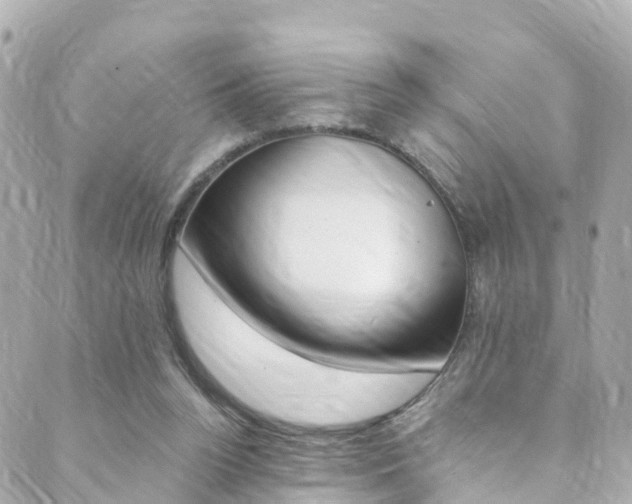 X0000089920160200706290803