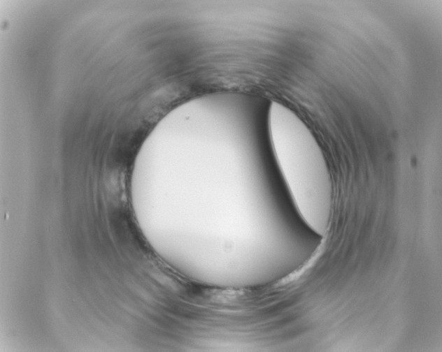 X0000089920182200706290803