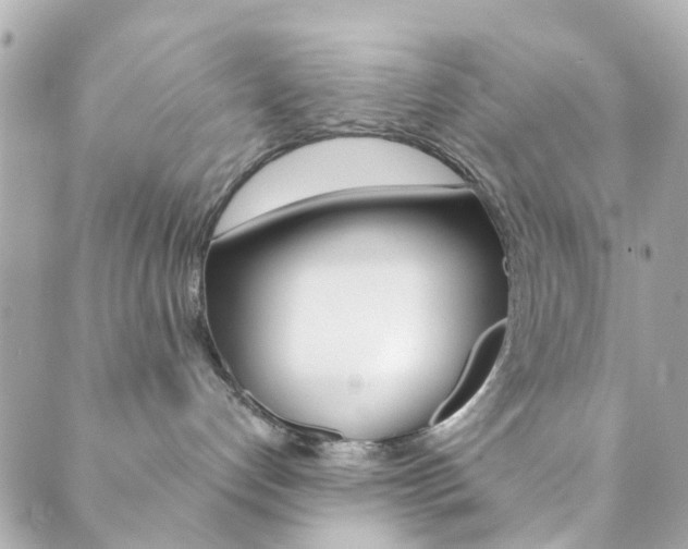 X0000089920192200706290803