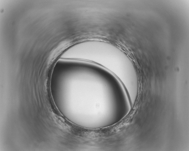 X0000089920197200706290803