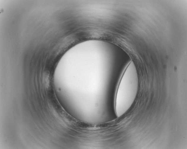 X0000089920216200706290802