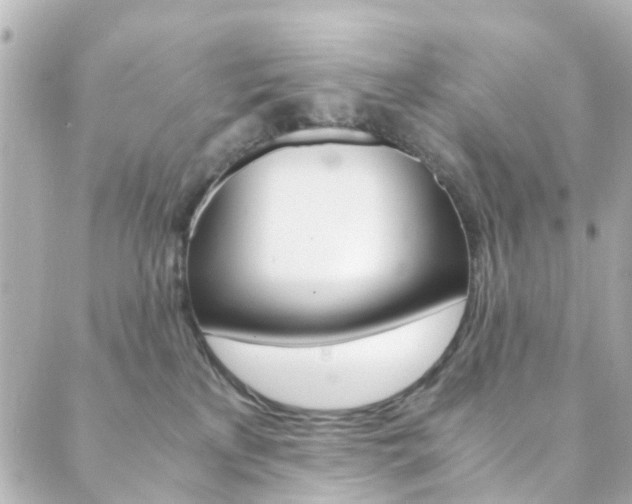 X0000089920233200706290802