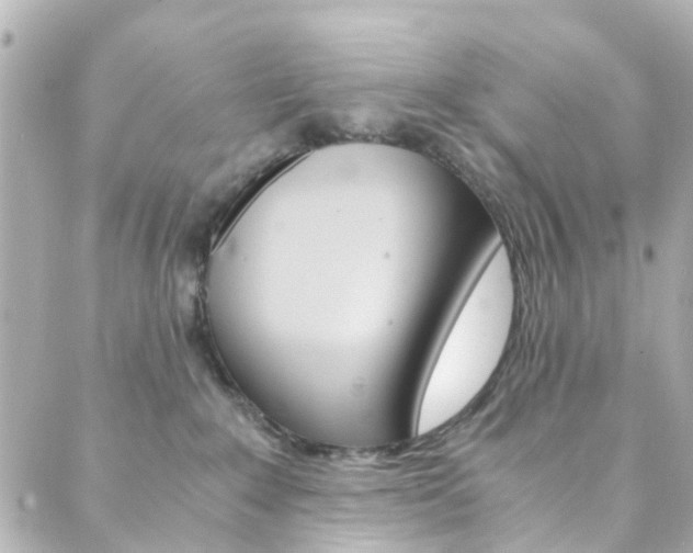 X0000089920235200706290802