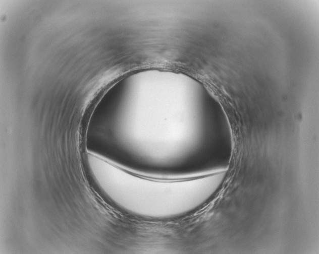 X0000089920244200706290801