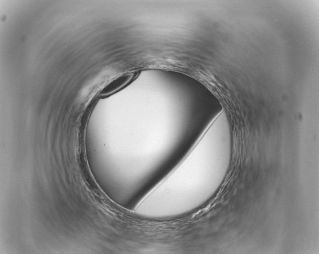X0000089920291200706290801