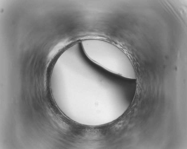 X0000089920296200706290801