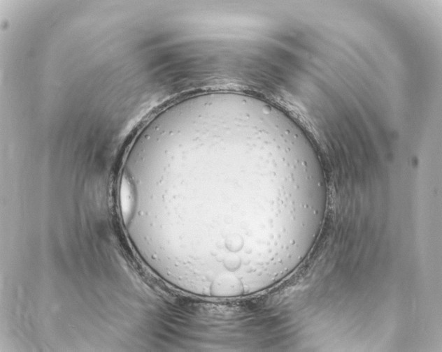 X0000089920347200706290800