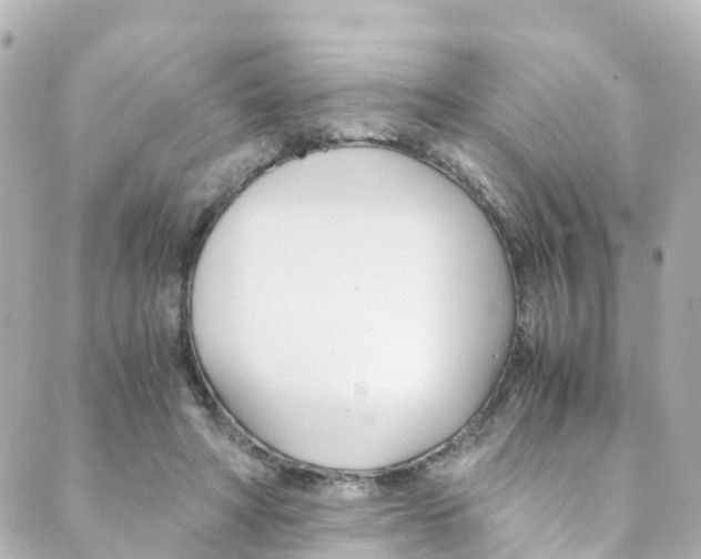 X0000089920402200706290759