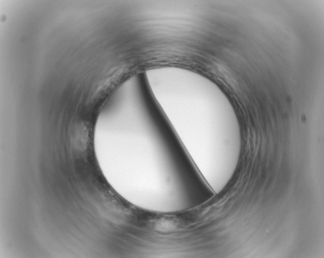 X0000089920412200706290759