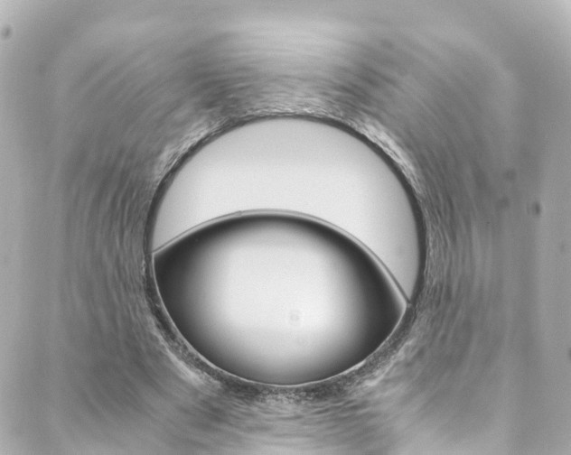 X0000089920489200706290758