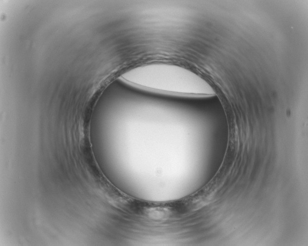 X0000089920508200706290757
