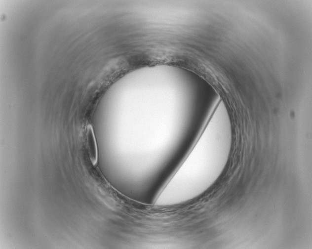 X0000089920601200706290756