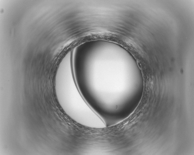 X0000089920822200706290752