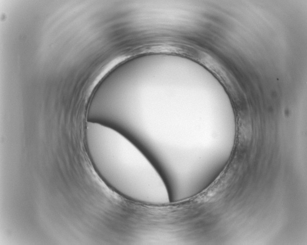 X0000089920852200706290752