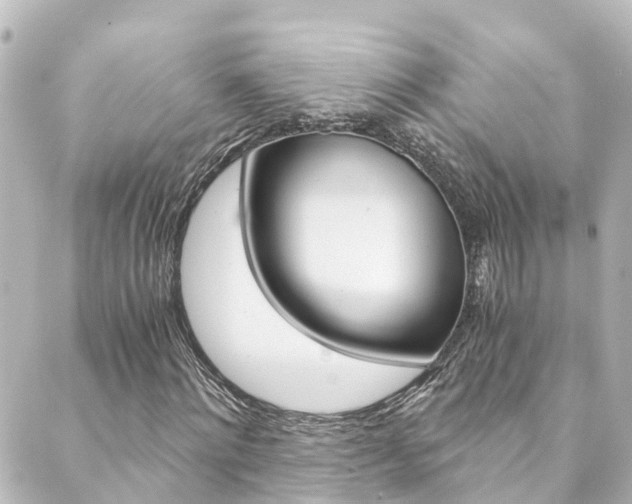 X0000089920868200706290752