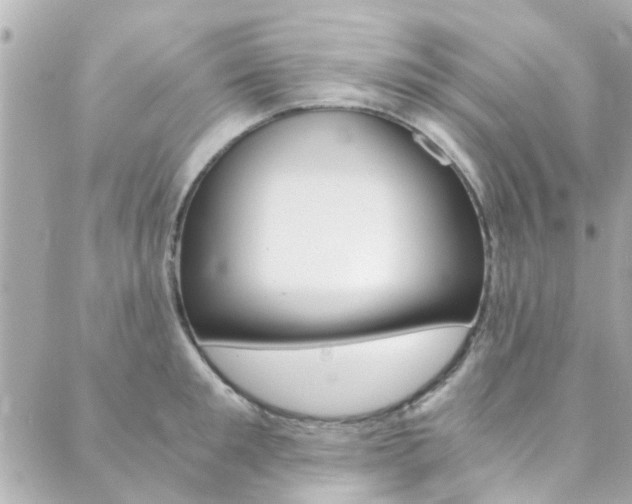 X0000089920901200706290751