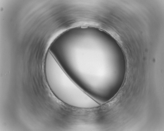 X0000089920912200706290751