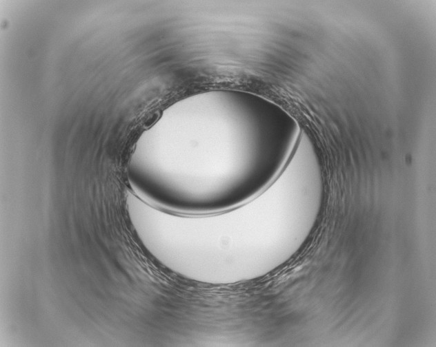 X0000089920916200706290750