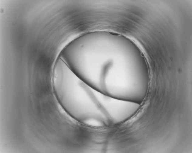 X0000089920957200706290751